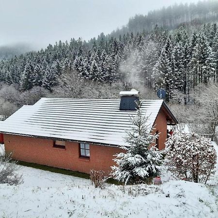 Ferienhaus Becker Willingen  Exteriér fotografie