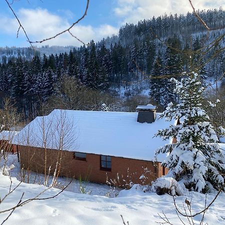 Ferienhaus Becker Willingen  Exteriér fotografie